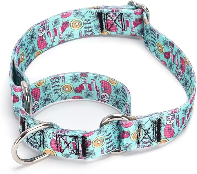 Serijoars Adjustable Martingale Dog Collar Heavy Duty Nylon Dog Collar for Medium Large Dogs Walking Training Boy and Girl Dogs (NO15, M)
