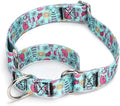 Serijoars Adjustable Martingale Dog Collar Heavy Duty Nylon Dog Collar for Medium Large Dogs Walking Training Boy and Girl Dogs (NO15, M)