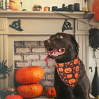 ADOGGYGO Halloween Dog Bandana, Pumpkin Ghost Pet Scarf, Orange Black Halloween Bandanas for X-Large Dog (X-Large)