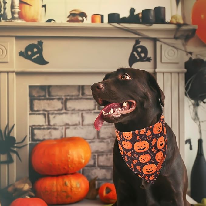ADOGGYGO Halloween Dog Bandana, Pumpkin Ghost Pet Scarf, Orange Black Halloween Bandanas for X-Large Dog (X-Large)