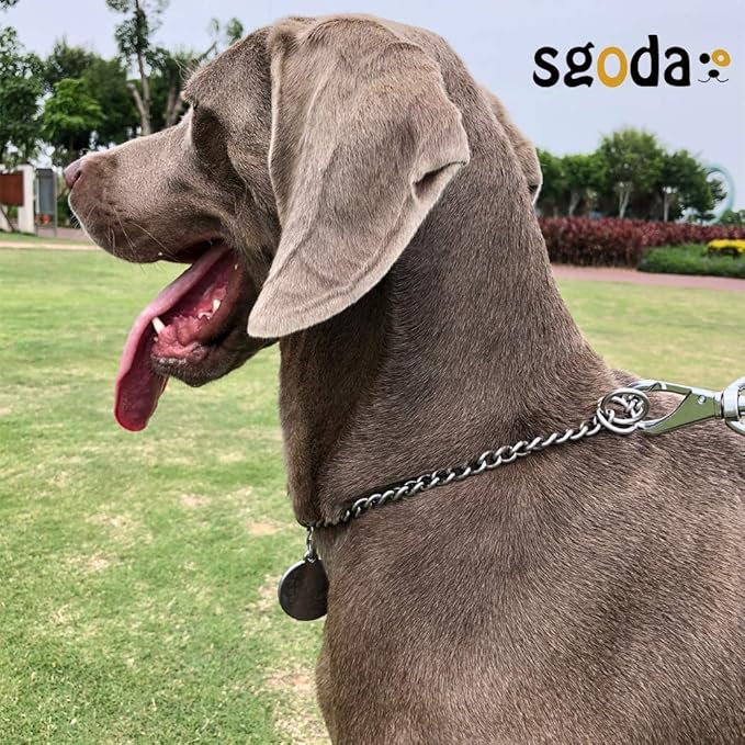 SGODA Dog Chain Collar Training Choke Collar, 16 in, 2.3 mm