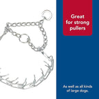 Coastal Pet Titan Dog Prong Training Collar - Rust-Resistant and Prong Metal Training Chain Collar for Dogs - Quality Supplies - 4 mm x 22"