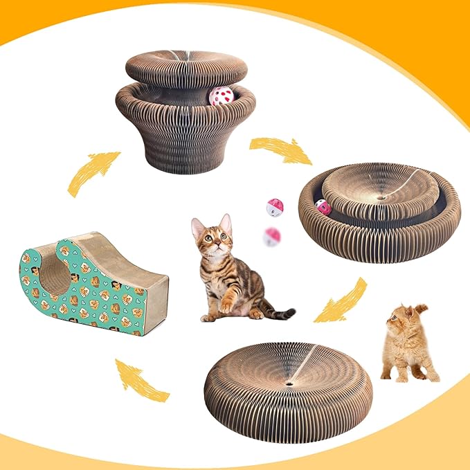 Magic Organ Cat Scratching Board & Interactive Toy Set - Durable Cardboard Scratcher with Scratching Ball for Indoor Cats - Mental & Physical Exercise for Kittens & Adult Cats