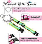Martingale Dog Collars with Stainless Steel Chain, Reflective No Pull Walking Training Collar with Quick Release Buckle, Adjustable Slip Chain Nylon Dog Collars for Small Medium Large Dogs