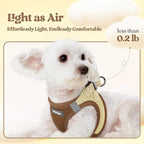 rabbitgoo Dog Harness Small Sized and Leash Set, Step in Soft Light Puppy Vest, Breathable Mesh Pet Harness, Reflective for Safe Easy Walking, Brown & Beige XS