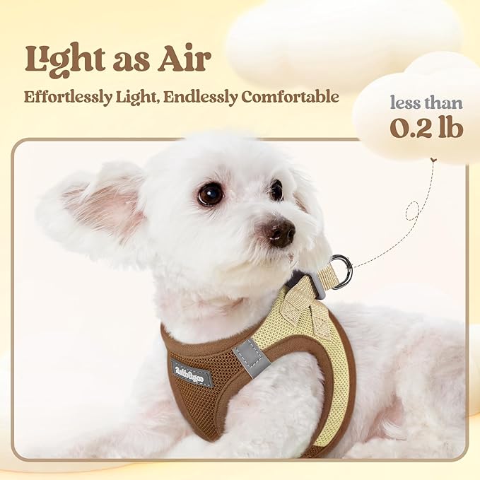 rabbitgoo Dog Harness Small Sized and Leash Set, Step in Soft Light Puppy Vest, Breathable Mesh Pet Harness, Reflective for Safe Easy Walking, Brown & Beige XS