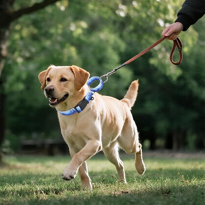 KOOLTAIL Martingale Collar for Dogs for Small Medium Large Dogs, Soft Padded Nylon No Pull Dog Collar with Buckle, Adjustable No Slip Heavy Duty Durable Puppy Training Collar for Boys Girls, Blue L