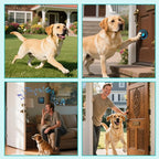 Dog Door Bell for Potty Training, Smart Wireless Doggie Doorbell to Go Outside, 1000 Feet Long Range with IP65 Waterproof Super-Light Touch Button (3 Button)