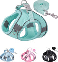 Solmoony Dog Harness for Small Medium Large Dogs No Pull, Puppy Harness and Leash Set, Puppy Harness, Step in Harness for Small Dogs,mesh Dog Harness. (Green, XXS)