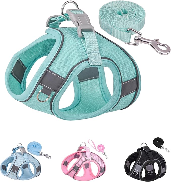 Solmoony Dog Harness for Small Medium Dogs No Pull, Puppy Harness and Leash Set, Puppy Harness for Small Dogs, mesh Dog Harness. (Green, S)