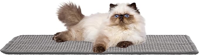 SAFAVIEH Cat Scratch Mat Pad Collection, 9" x 14", Gray, Boucle Weave, Velcro & Slip Resistant Backing