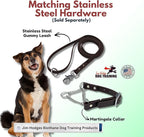 Martingale Collar for Dogs, Biothane, Stainless Steel Hardware, No Pull, Made in The USA, Professional Grade, XS, Brown