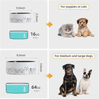 Fun Elements Ceramic Dog Bowls - Large, Non-Slip, 64 Fl Oz, Black with Adorable Dog Patterns (Large, Black)