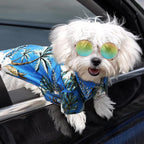 3 Pieces Small Dog Hawaiian Costume Puppy Halloween Cool T-Shirts Summer Clothes with Retro Sunglasses and Colorful Wreath Hawaiian Shirts Costume for Small to Medium Dogs Pet(Blue Series)