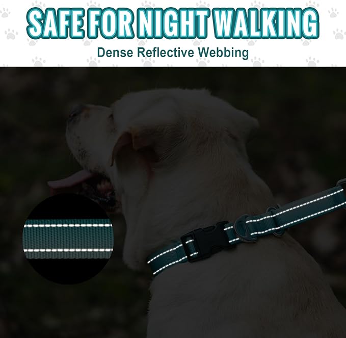 Martingale Collar for Dogs Large Medium Small Heavy Duty Buckle Dog Collar with Tag Ring Reflective Nylon Gradient Dog Collar No Pull Training Collar