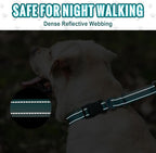 Martingale Collar for Dogs Large Medium Small Heavy Duty Buckle Dog Collar with Tag Ring Reflective Nylon Gradient Dog Collar No Pull Training Collar