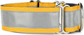 If It Barks - 1.5" Reflective Martingale Collar for Dogs - Adjustable - Made in USA - Strong, Durable, and Comfy - Ideal for Training - Suitable for Most Breeds - Large, Yellow Gold