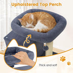 PETSITE 19.5-inch Small Cat Tree, with Sisal Scratching Post, Interactive Hanging Ball, Comfy Condo, and Spacious Top Perch, Ideal for Indoor Cats and Kittens (Dark Grey)