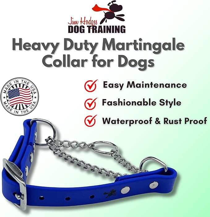 Martingale Collar for Dogs, Biothane, Stainless Steel Hardware, No Pull, Made in The USA, Professional Grade, XXS, Blue