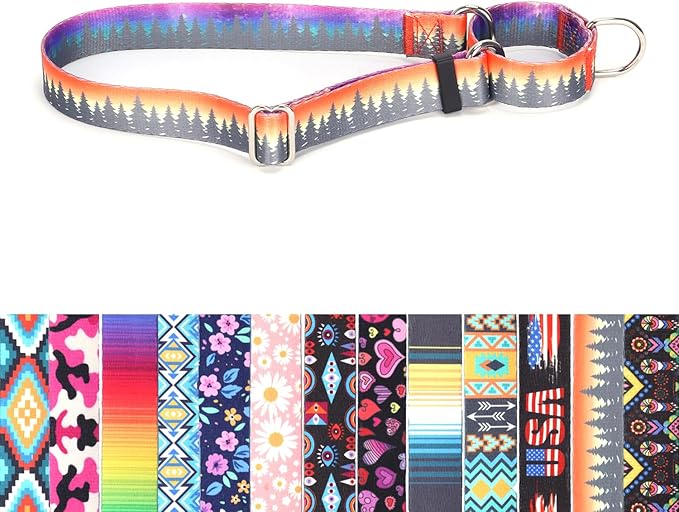 Choke Collar for Dogs, No-Slip Escape Proof Choke No Pull Cinch Soft Nylon Dog Training Martingale Collars Adjustable for Small Medium Large Breed Pet Dogs, Orange Forest S
