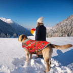 VIVAGLORY Snowrap Dog Coat, Jacket with Harness Hole, Dog Coat for Winter & Cold Weather, Fluffy Warm Fleece Lined Reflective Water Resistant for Puppy, M, Northeast Florals-Red
