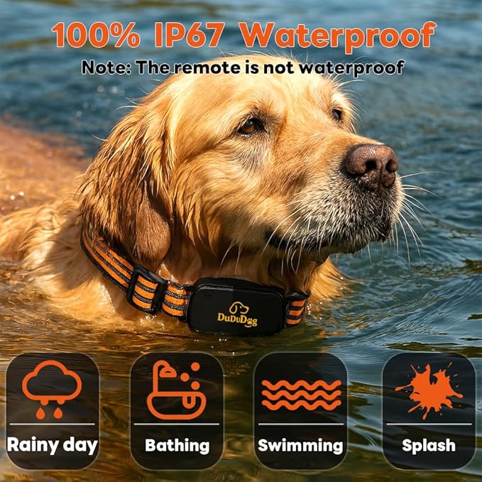Adjustable Shock Levels Dog Training Collar with 9.8 FT Retractable Leash – Remote E-Collar for 2 Dogs, 3200 FT Range, Color Screen, Beep Vibration Static, IP67 Waterproof, USB-C Rechargeable