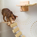 22in Cat Ladder Bridge Tree Tower Cat Cage Accessories Furniture Climbing Frame Toys for Indoor Cats Scratching Post (22x9.8in)