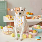 ADOGGYGO Easter Dog Bandana, Carrot Rabbit Pet Scarf, Premium Durable Fabric, Easter Bandanas for Medium Large Dogs Pets (Large)