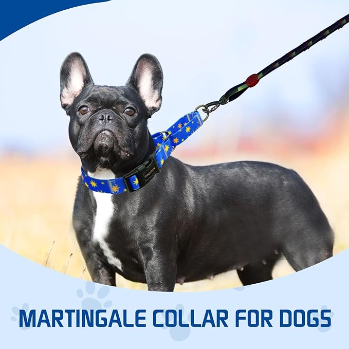 Kazazoo Martingale Collar for Dogs with Quick Release Buckle Adjustable Soft Durable Dog Collar for Small Medium Large No Pull Training Dog Collars-Blue Sky S