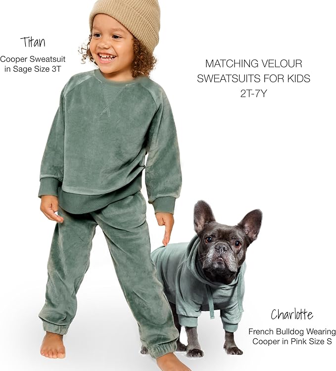 Cooper II Organic Cotton Velour Dog Hoodie Pet Coat for Small, Medium and Large Dogs, Sage, XXX-Small (up to 5lbs)