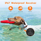 Shock Collar for Dogs, IP67 Waterproof Dog Training Collar with Remote, 3 Training Modes with Beep, Vibration, and Safe Static, Rechargeable for Large Medium