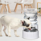 RIZZARI Dog Water Bowl Dispenser: 5L Large Stainless Steel Gravity Feeder - Leak-Proof - Detachable Bowl & Filter Instruction - Easy to Use for Busy Multi-Pet Owners with Small Puppies & Kittens