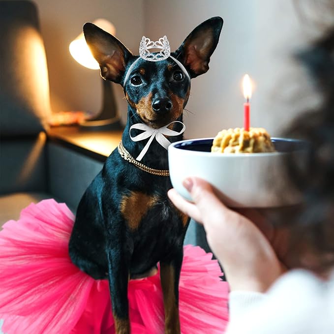 2 Pcs Dog Crown Headband Dog Tutu Dress Set Crystal Rhinestone Tiara Crown Tutu Skirt Pet Dress Costume for Puppy Birthday Party Wedding Photo Prop Costume(Small,Rose Red)