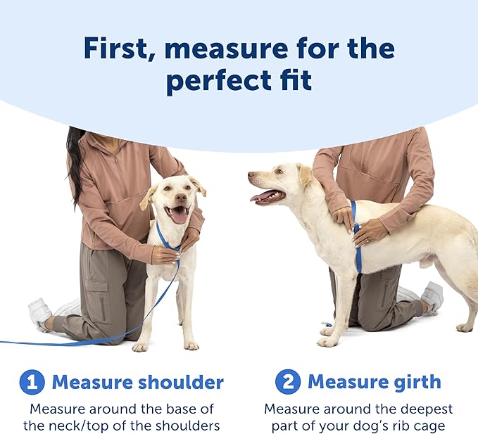 PetSafe Easy Walk Comfort No-Pull Dog Harness - Better Walk Training Harness - Full Body Padded Design - Durable Fabric - 5 Point Adjustable Fit - Everyday Leash Training - Green - Large