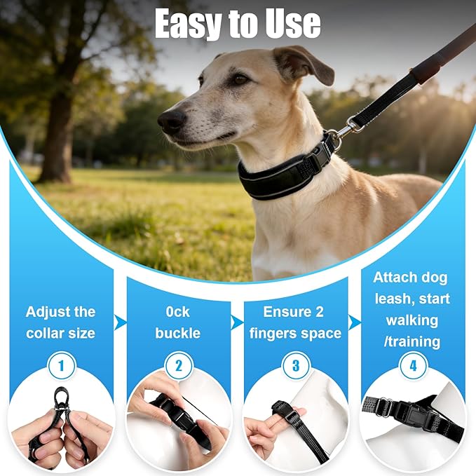 Lightweight Prong Collar for Dogs, Reflective No Pull Dog Collar | Adjustable Size Dog Pinch, Breathable Woven Fabric Air Grid Technology, Martingale Collar for Dogs Training(Black-M)
