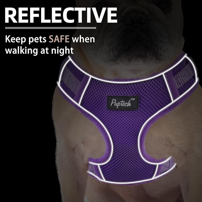 PUPTECK Small Dog Harness and Leash Set, No Pull Adjustable Puppy Cat Harness, Reflective Soft Mesh Pet Vest Small Sized, Purple, M