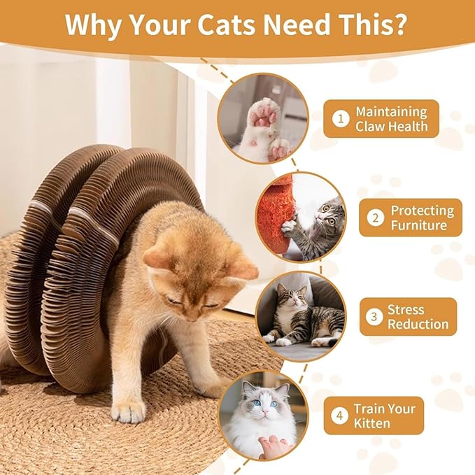 Kitty Curlz Cat Scratcher for Indoor Cats - Magic Organ Interactive Cat Toy with Bell Ball, Upgraded Durable Cardboard Scratching Board for Cats & Kittens, Anxiety Relief