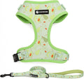 Dog Harness and Leash Set, Adjustable Dog Harness, Dog Leash, No Pull No Choke Puppy Harnesses for Walking Training for Small Medium Pet