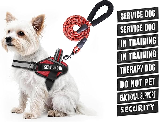 Service Dog Vest Harness and Leash Set, Animire in Training Dog Harness with 10 Dog Patches, Reflective Dog Leash with Soft Padded Handle for Small, Medium, Large, and Extra-Large Dogs