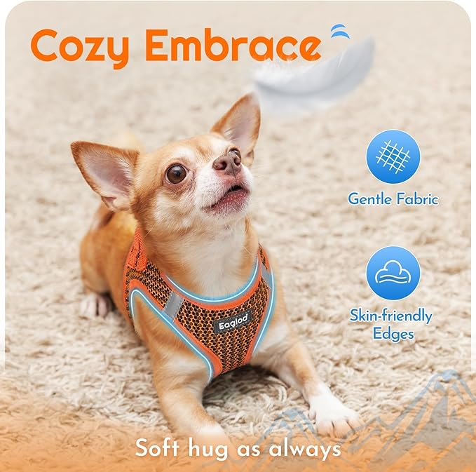 Eagloo Small Dog Harness and Leash Set, Step in Puppy Vest with Breathable Soft Mesh, Walking Reflective Pet Harness for Small Dogs, Orange, XXS