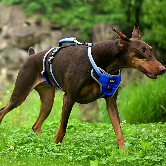 PUPTECK Escape Proof Dog Harness with Padded Handle, No Pull Pet Vest Harness Durable Reflective for Medium Large Dogs Walking Training and Running, Navy Blue, L