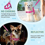 SlowTon No Pull Small Dog Harness and Leash Set, Puppy Soft Vest Harness Neck & Chest Adjustable, Reflective Lightweight Harness & Anti-Twist Pet Lead Combo for Small Medium Dogs (FU, M)