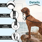 BARKLESS Sturdy No Pull Head Collar for Medium Large Dogs, Gentle Reflective Head Halter with Safety Link, Adjustable Nylon Dog Training Muzzle Leash for Walking Control (Black, XXL)