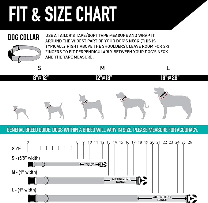 Wolfgang Heavy Duty, Adjustable Dog Collar with Quick Release Nylon Buckle for Walking & Training, CutBow Print, Small