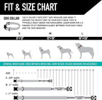 Wolfgang Heavy Duty, Adjustable Dog Collar with Quick Release Nylon Buckle for Walking & Training, CutBow Print, Small