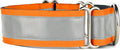 If It Barks - 1.5" Reflective Martingale Collar for Dogs - Adjustable - Made in USA - Strong, Durable, and Comfy - Ideal for Training - Suitable for Most Breeds - Medium, Orange