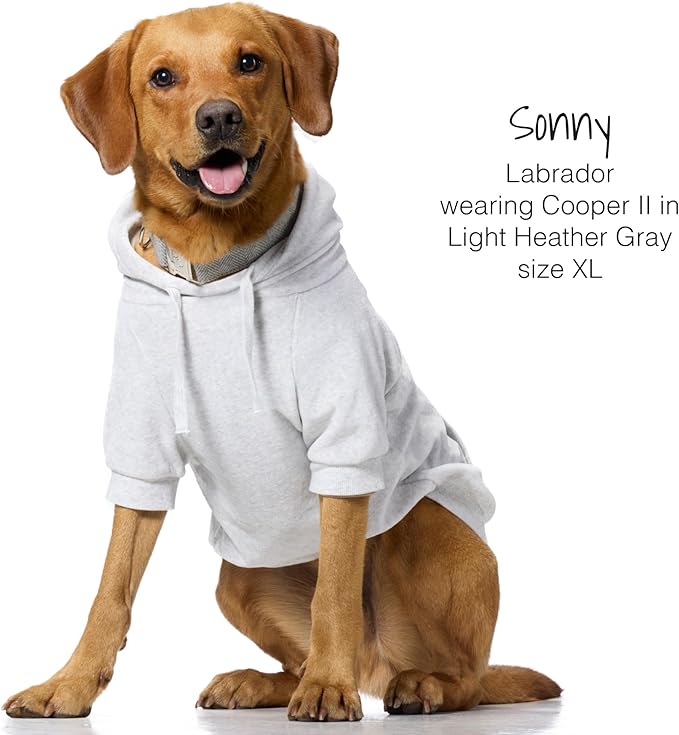 Cooper II Organic Cotton Velour Dog Hoodie Pet Coat for Small, Medium and Large Dogs, Light Heather Gray, XXX-Small (up to 5lbs)