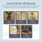 Lucky Love Dog - Adjustable Dog Collar with Easy Click Buckle for Small to Large Ones, Durable, & Comfortable for Male & Female Dogs, Pet Collar for Puppies & Adult Dogs - Primrose, Large