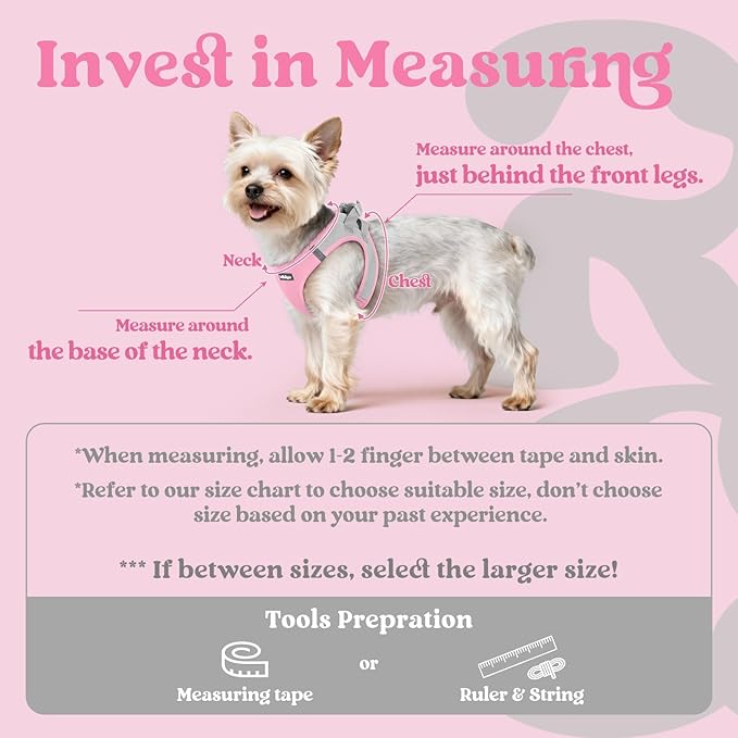 rabbitgoo Small Dog Harness, Step-in Soft Mesh Puppy Vest with Safety Buckle, Breathable Reflective Pet Harness for Small Sized Dogs, Pink & Gray S