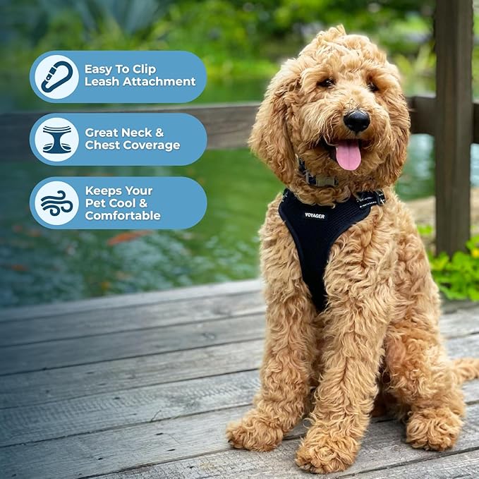 Best Pet Supplies Voyager Adjustable Step-in Flex Breathable Mesh Dog Harness for Small Medium Large Dogs Leash Set (Black), M